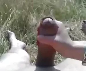 Rico trasero de madura