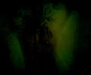 Il silverback attacco