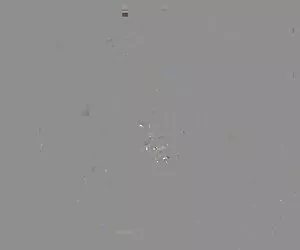 Lexi Bardot-suggerimenti