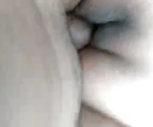 nano ama gallo cum-caricato