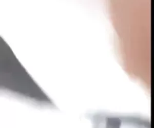 show televisivo olandese il quiz porno