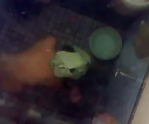 amia moretti sesso di baby-sitter (adamski)