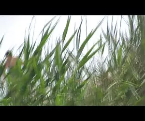 strade ceche - petra