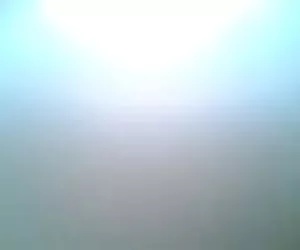 spandex di bottino grigio