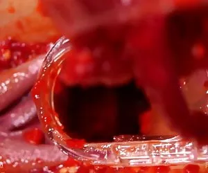 giovane ragazza adulta