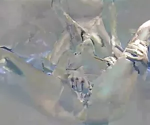 È così emozionante per me