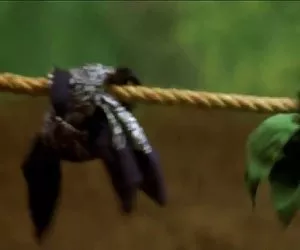 Dolce Angela brutale doppio Anale