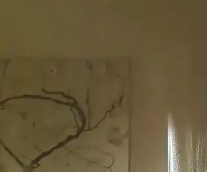 lecons doppie ' exhib 24