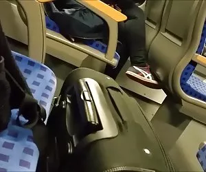 Chandler e Lola con cinturino in