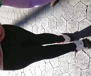 toro nero e la sua coppia di 7