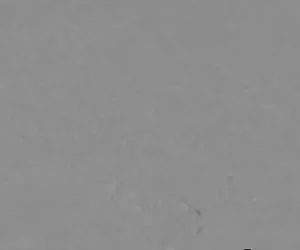 teamskeet Tettone sexy bionda victoria kruz hardcore sesso