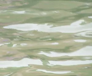 Chubby babe gode di un cazzo duro