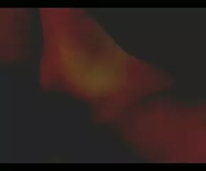 lex n di calli cox steele