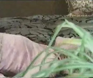 in casa trio mmf - 73