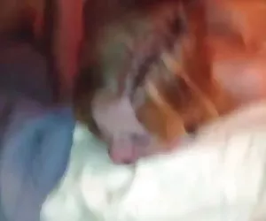 cinese chen in privat gallo succhiare 2