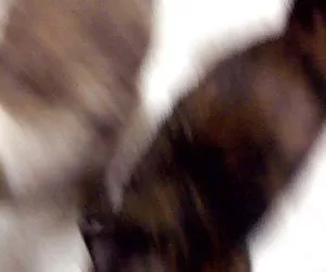 bbw asiatiche bionda succhia gallo