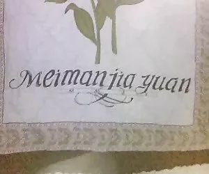 figa rasata stretto di fakeagentuk caldo ragazze ceche