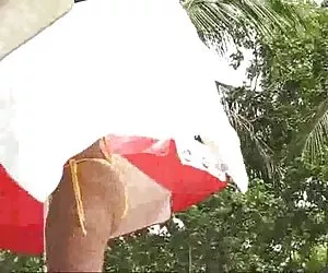 ungherese cfnm handjob da sylvia chrystall