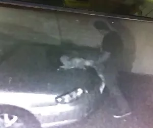 scopata a pecora di cofano anteriore!!!