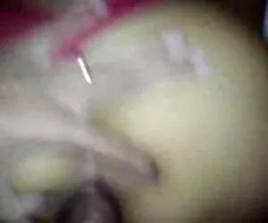 donna ambrose aka danica collins -