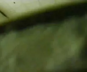 fressefick mit freundin der nicht tochter