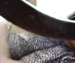 Edwige fenech - la pretore