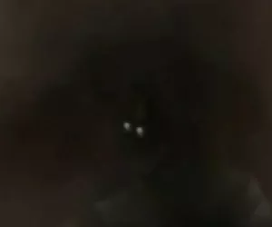 ha scopato sua mamma!!