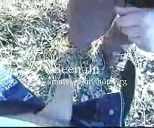 compilazione di barare