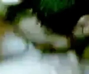 Cute teen Allie Ann scopata con il suo ragazzo e riceve disordinato crea