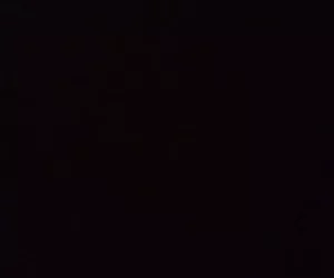 Bianco cazzo per un ghepardo blige