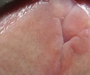 Raro hardcore servizio fotografico con Ashley Lauren e Lex