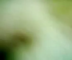 Di nikki Benz e dall