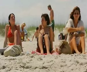 Un piccolo francese ragno )dc(