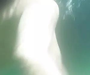 Guida compilazione 5