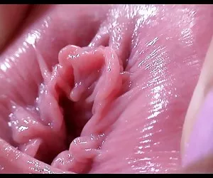 compagno di stanza ha voluto