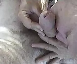 pornostar Ceca - lecca lecca