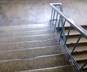 mamaica ONU dia lucia hacia en el fia