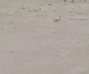 annoiato in ufficio convulso orgasmo