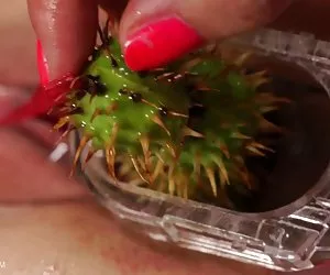 Samia prende profondo