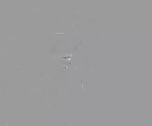 Un classico americano