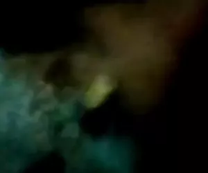 Haley pagina foresta sara