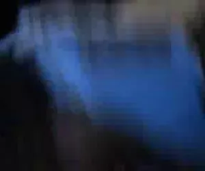 Seth Gamble - pip galli e atleti (2009)