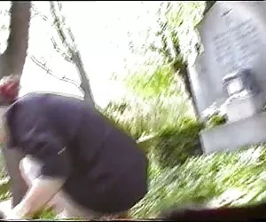 Slut viene scopata sul posto di lavoro