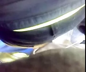 La regina di garanzia