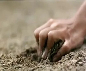 Jamie lee - cornuti housewives