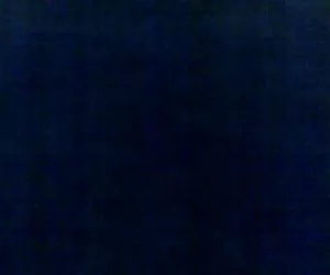 nina hartley e michael cox j