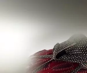 Mardi gras lampeggiatore viene mangiato e succhia cazzo