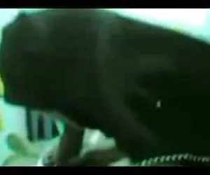 compilation creampie orale