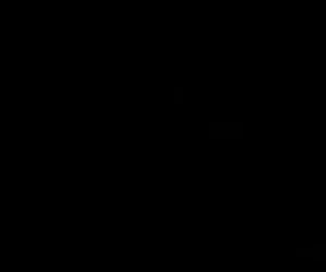 concerto di orgia brasiliana