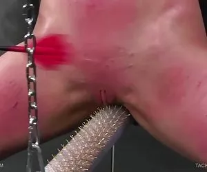 aggressiva pecorina cazzo